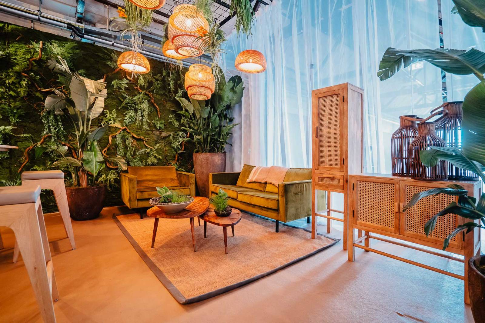 Ontdek onze collectie